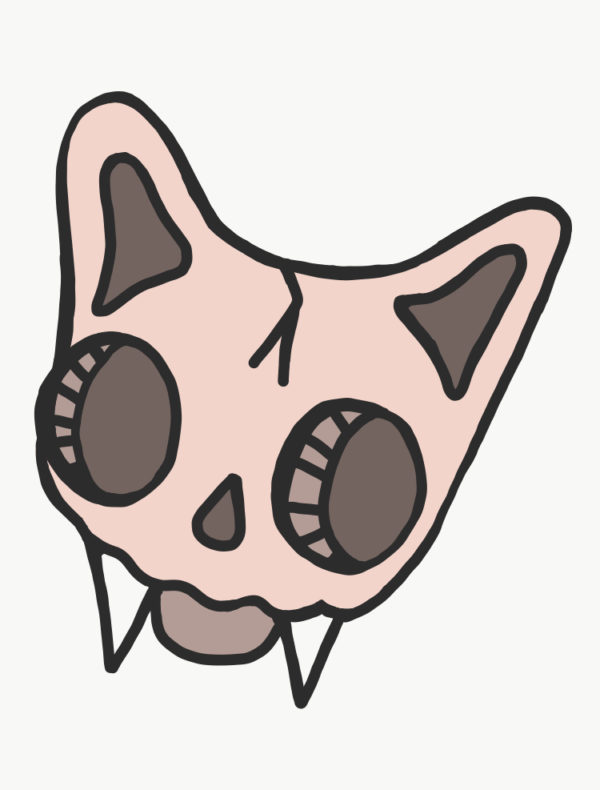 Skull Kitty